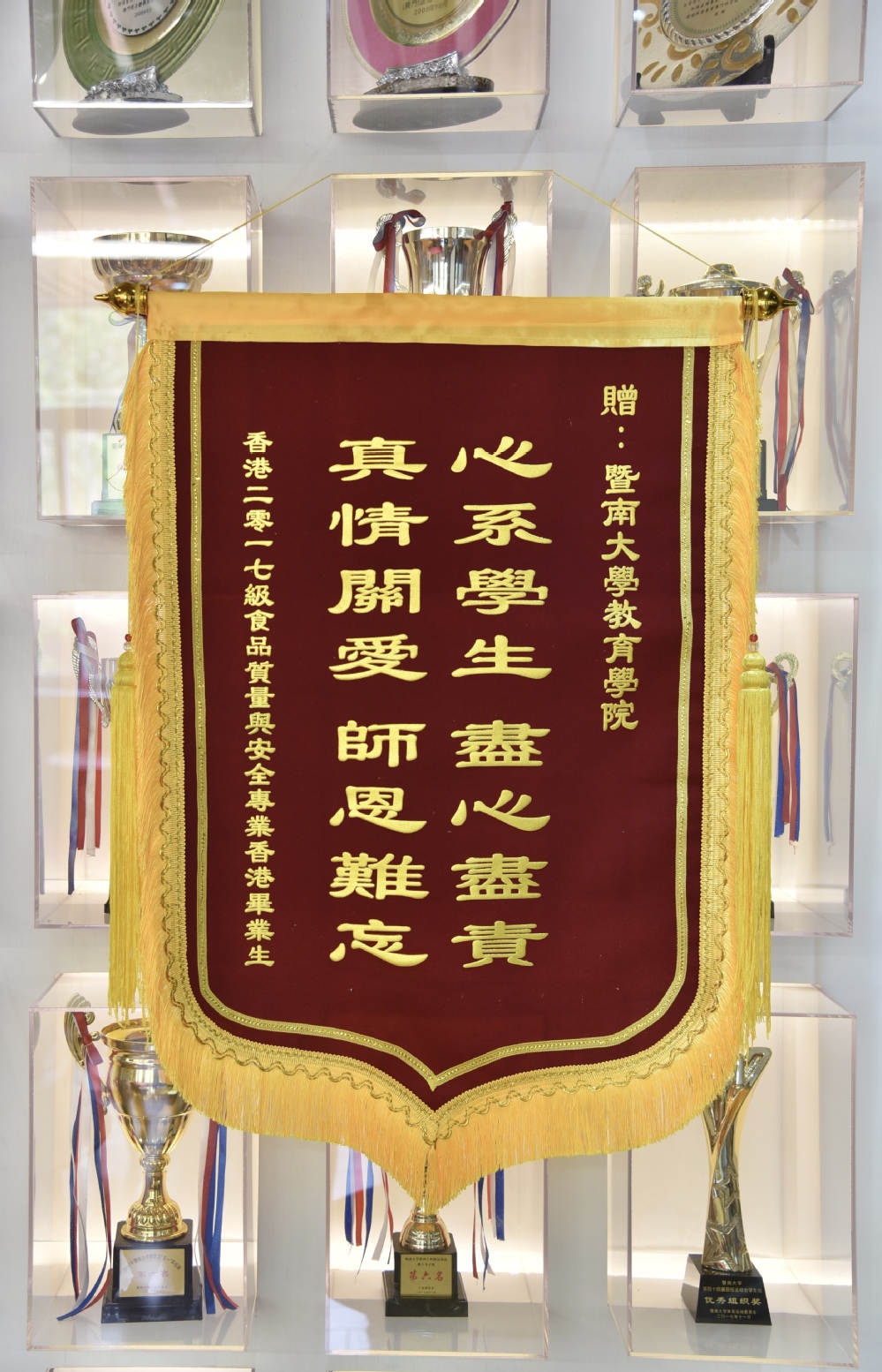 球客岛官方线路