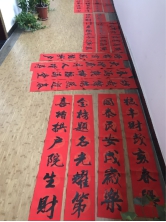 球客岛体育频道