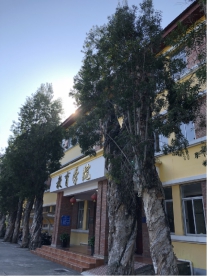 球客岛APP下载