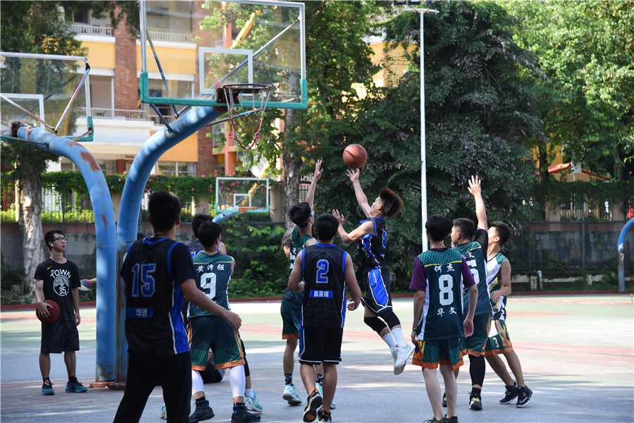 1561946860048066425.jpg 球客岛稳定线路